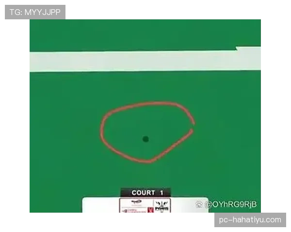 比赛用球规则：裁判判定合格与更换条件