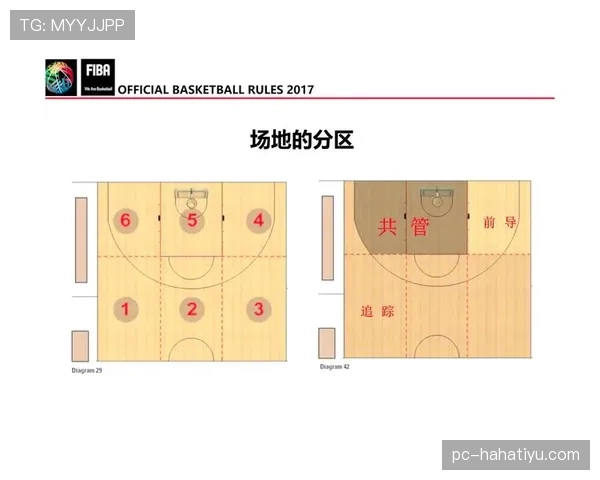 全面解析篮球持球掩护规则中裁判判罚的具体依据与标准