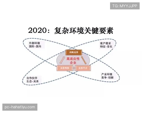B费与罗德里控场能力的核心差距：组织效率与节奏掌控机制解析