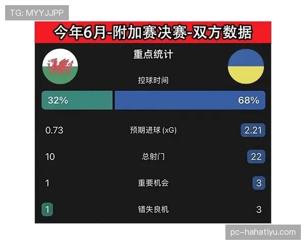 世界杯美国队D组主教练战术部署