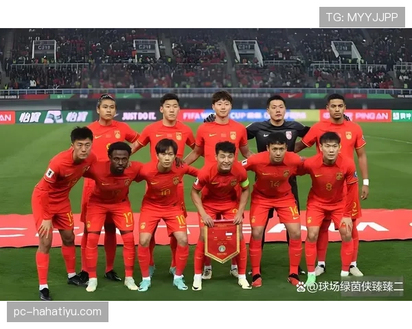 捷克队冲击世界杯出线资格路线图出炉